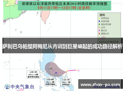 萨利巴乌帕楚阿梅尼从青训到巨星崛起的成功路径解析